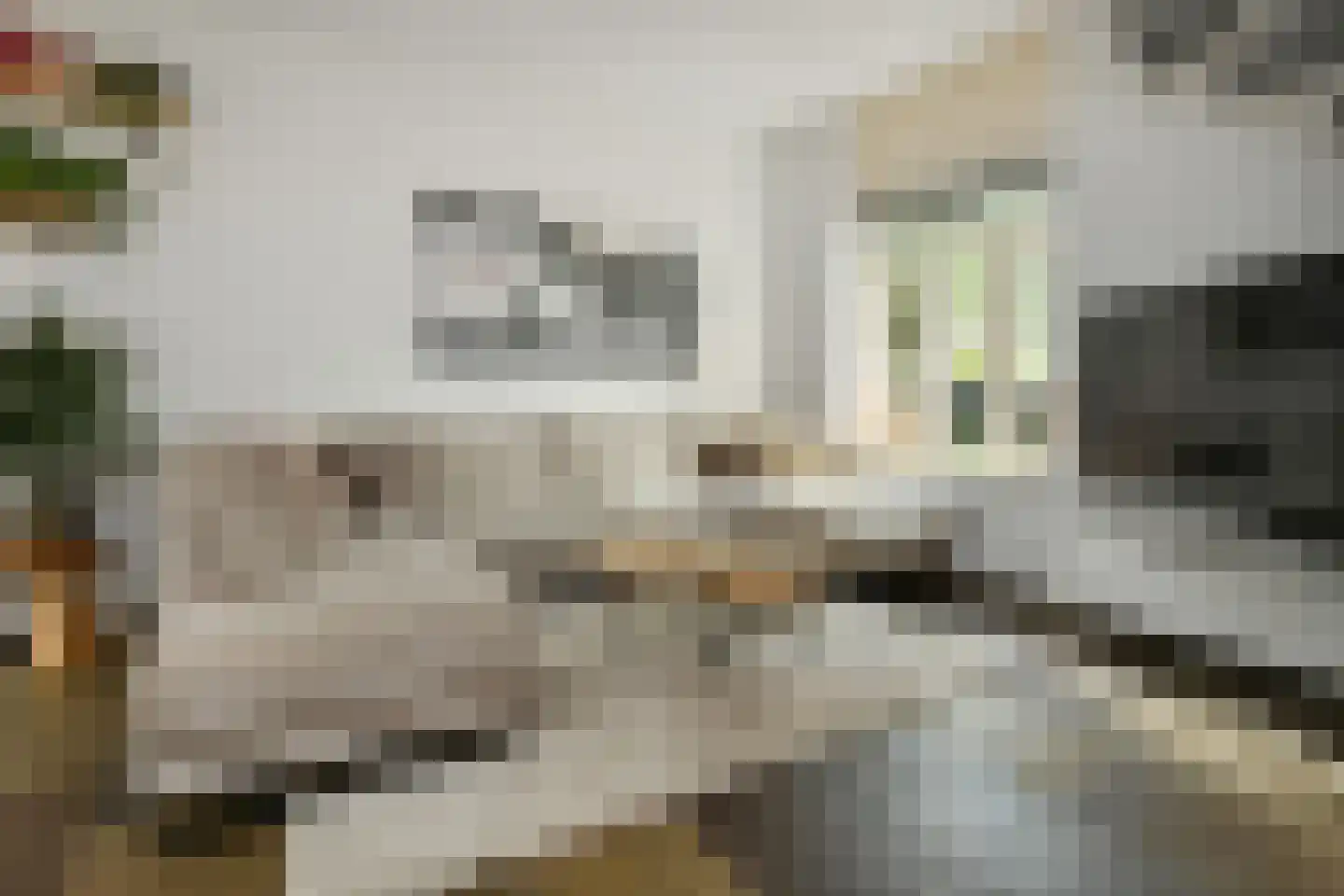 Fruittelerserf 8 Arnhem thumbnail 11