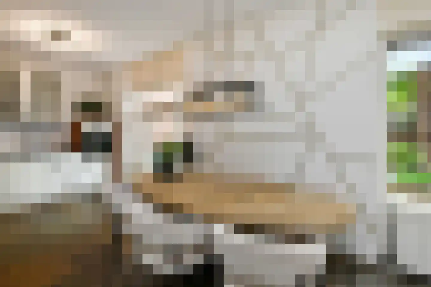 Fruittelerserf 8 Arnhem thumbnail 12