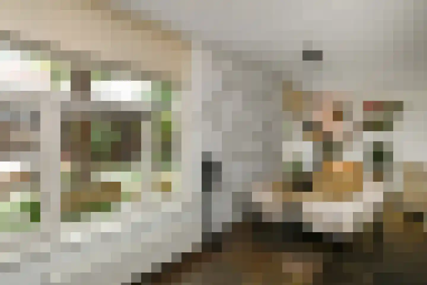 Fruittelerserf 8 Arnhem thumbnail 13