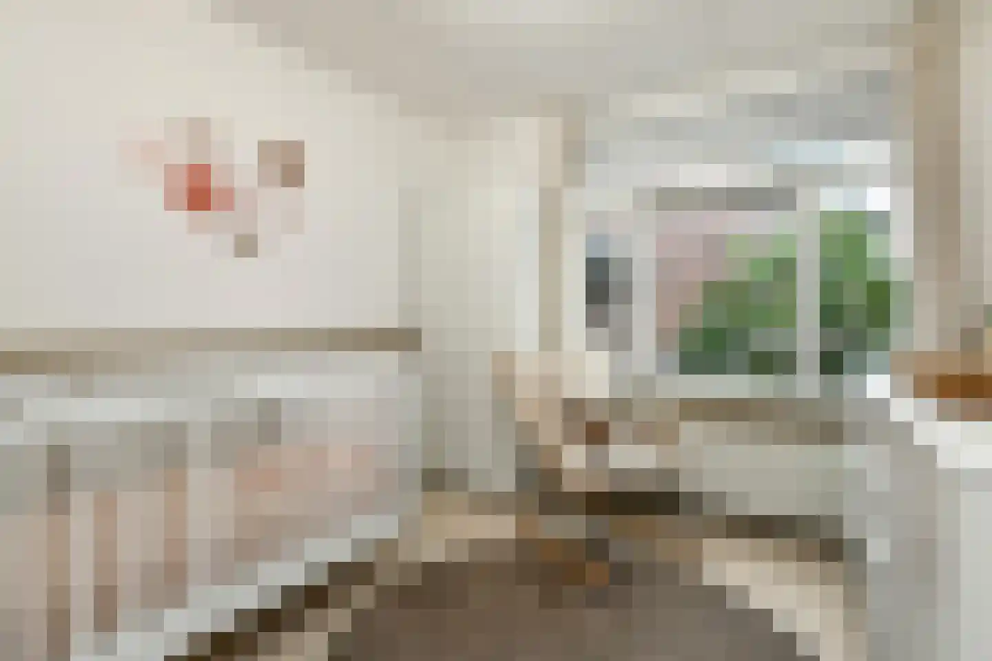Fruittelerserf 8 Arnhem thumbnail 24