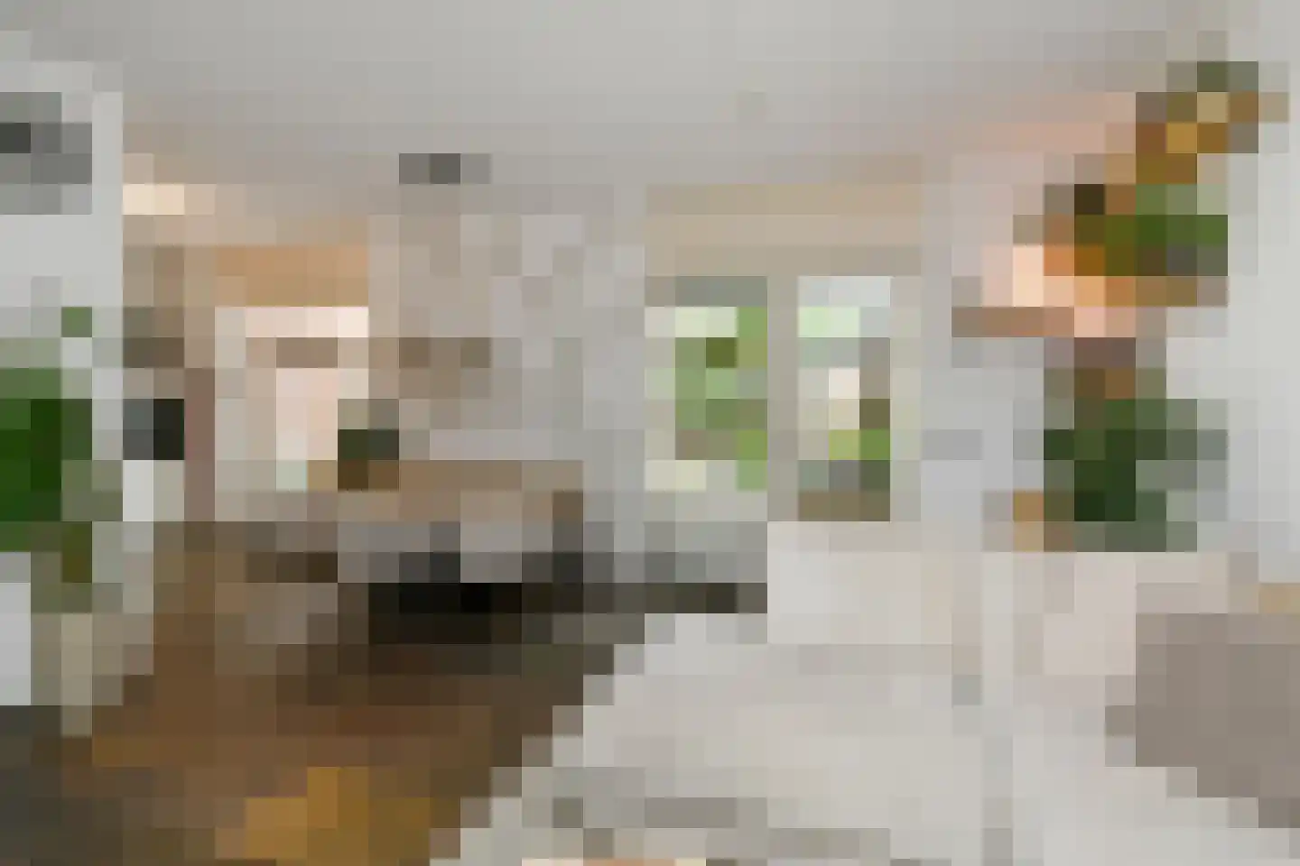 Fruittelerserf 8 Arnhem thumbnail 4