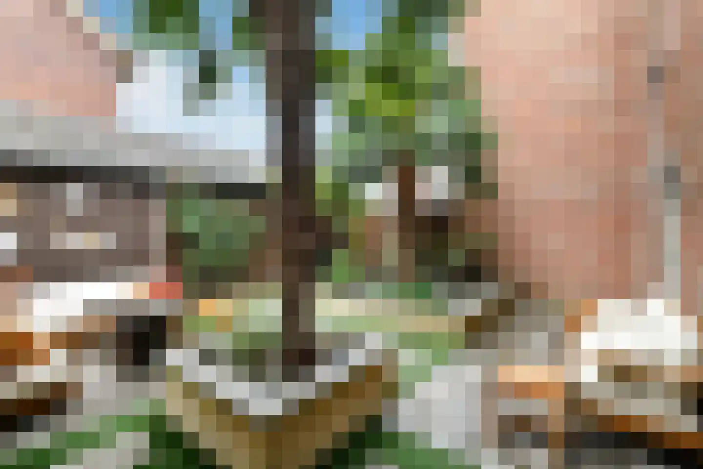 Fruittelerserf 8 Arnhem thumbnail 41