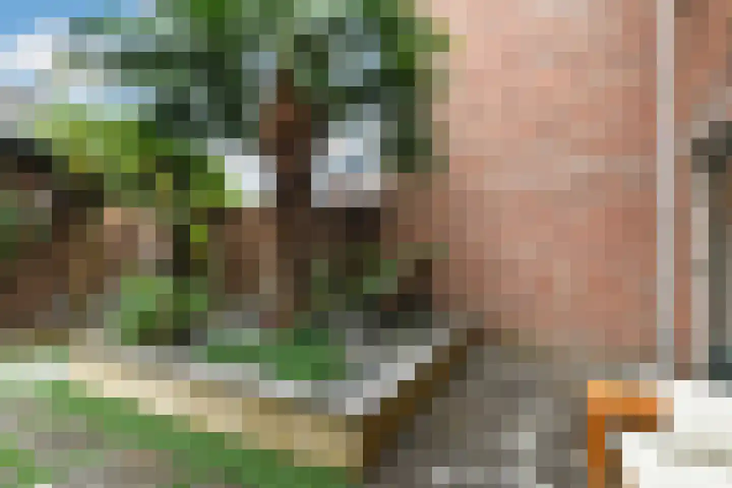 Fruittelerserf 8 Arnhem thumbnail 43