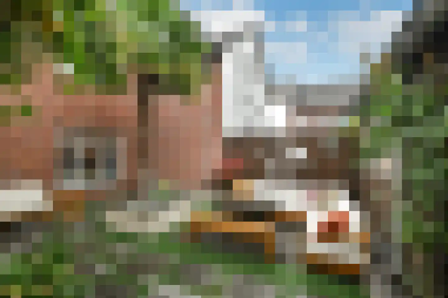 Fruittelerserf 8 Arnhem thumbnail 44