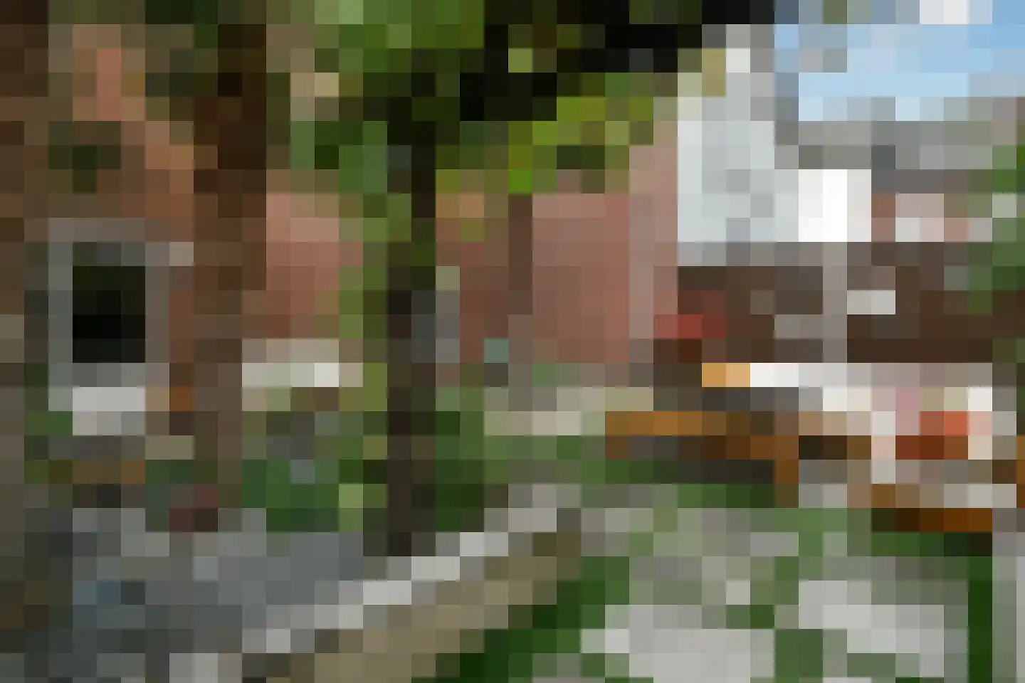 Fruittelerserf 8 Arnhem thumbnail 45