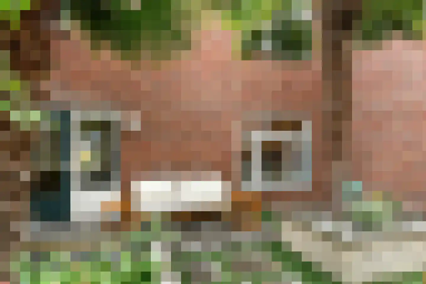 Fruittelerserf 8 Arnhem thumbnail 47