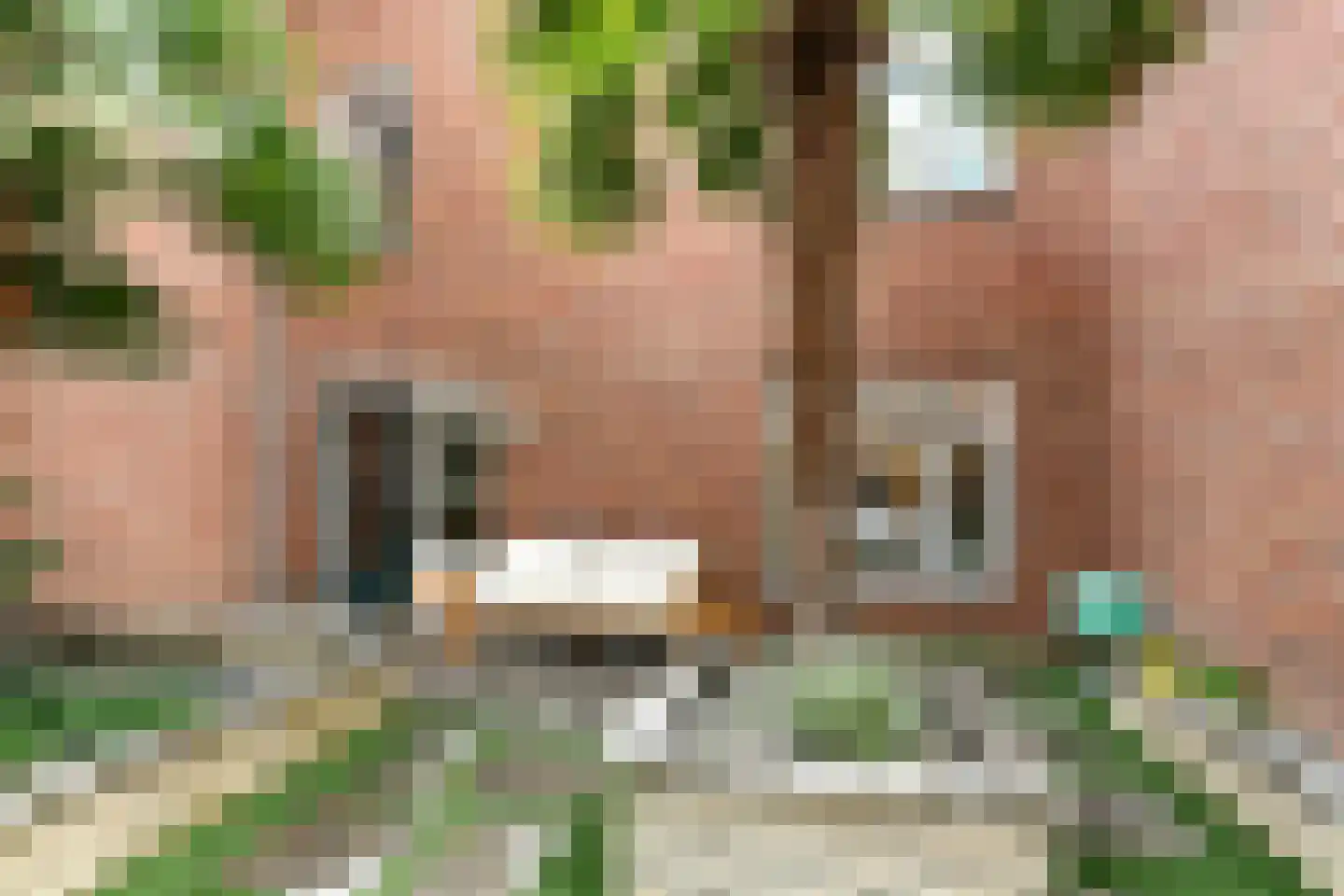 Fruittelerserf 8 Arnhem thumbnail 48