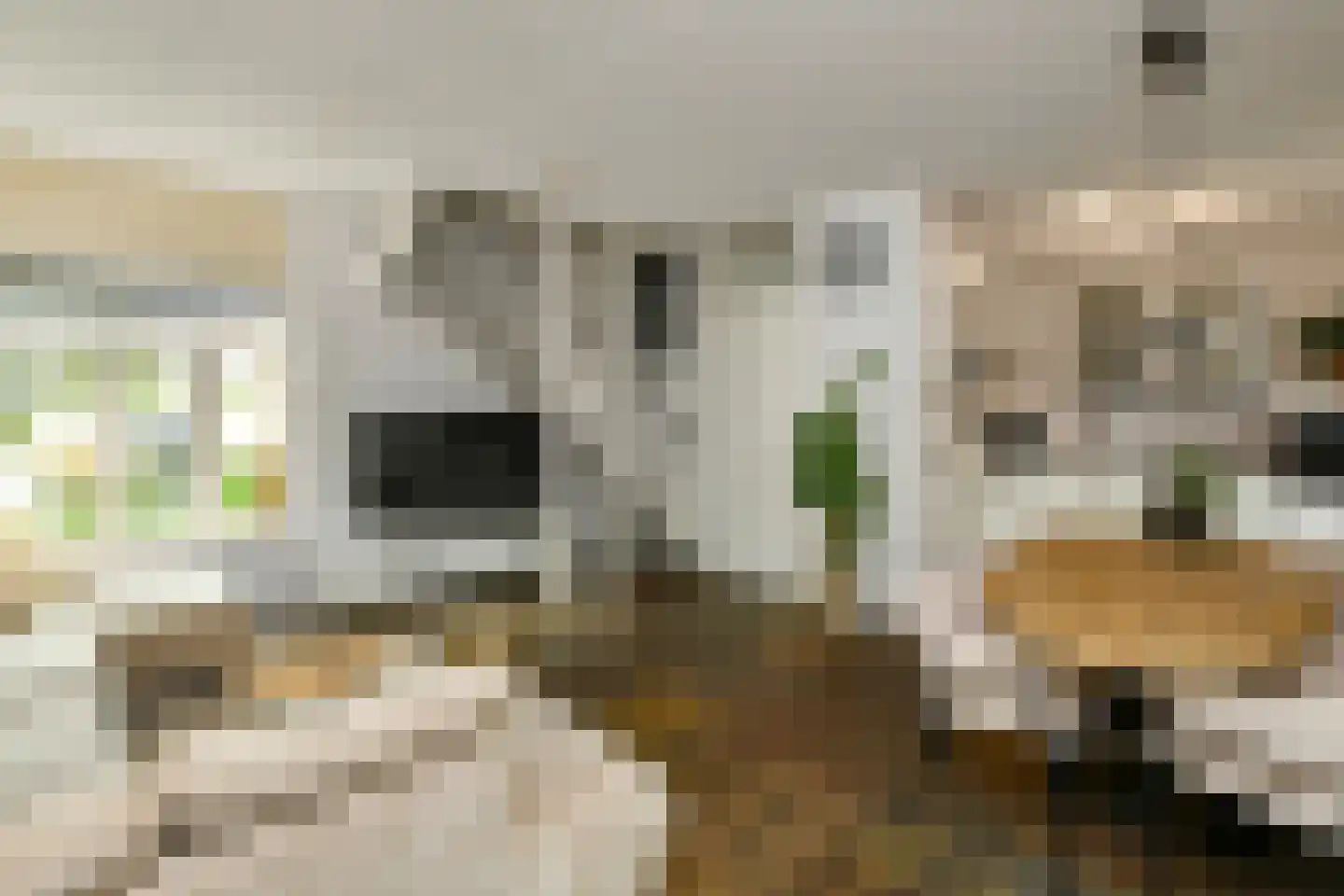 Fruittelerserf 8 Arnhem thumbnail 5