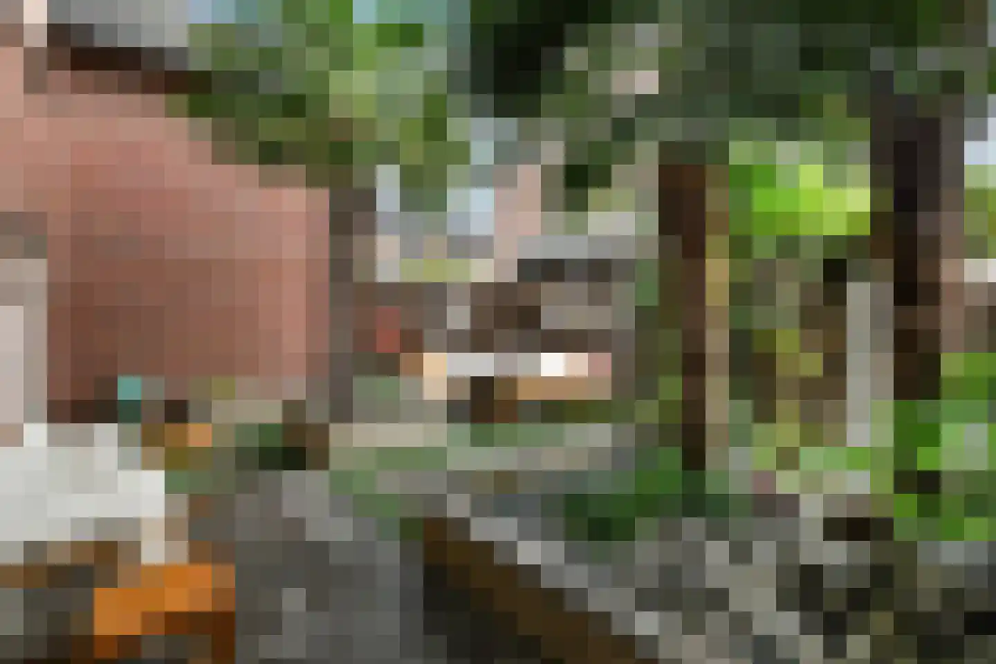 Fruittelerserf 8 Arnhem thumbnail 6