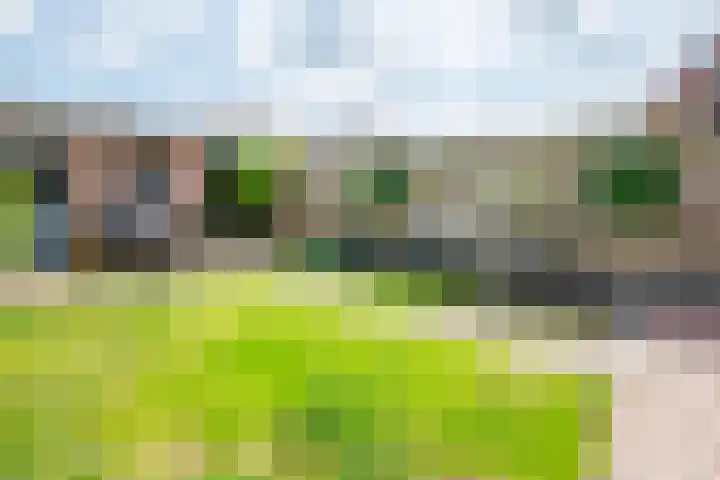 Fruitweg 18 Doetinchem thumbnail 12