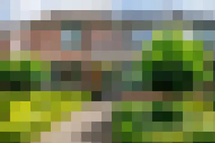 Fruitweg 18 Doetinchem thumbnail 16