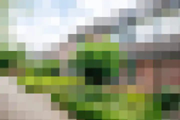 Fruitweg 18 Doetinchem thumbnail 34