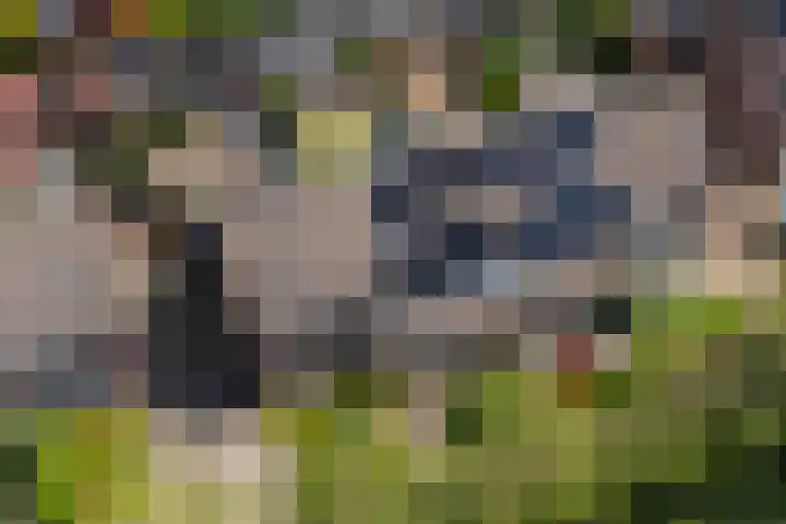 Fruitweg 18 Doetinchem thumbnail 38