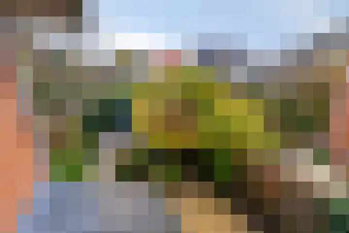 Fruitweg 38 Almere thumbnail 44