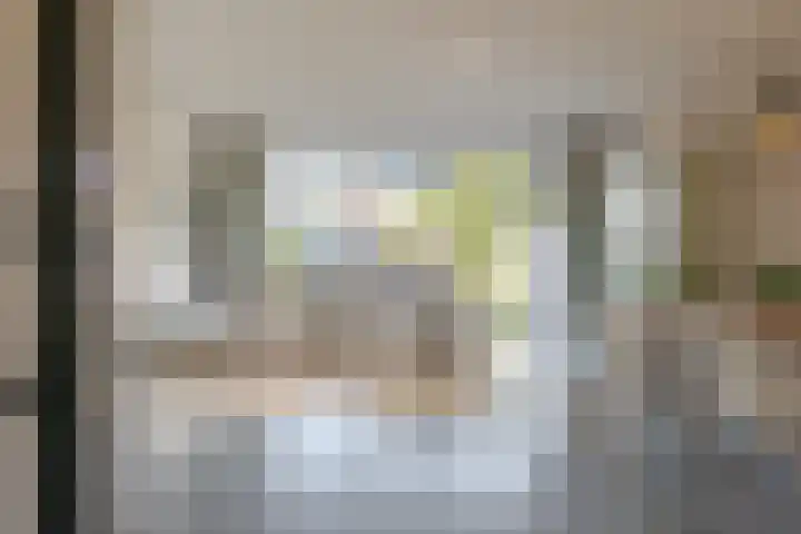 Fruitweidestraat 12 Zwolle thumbnail 11