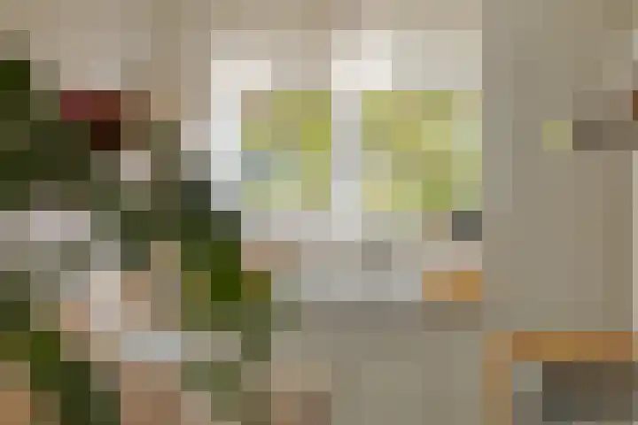 Fruitweidestraat 12 Zwolle thumbnail 24