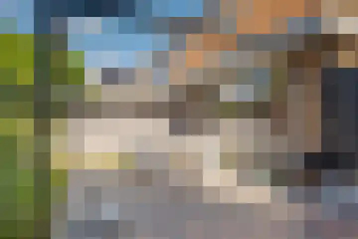 Fruitweidestraat 12 Zwolle thumbnail 27