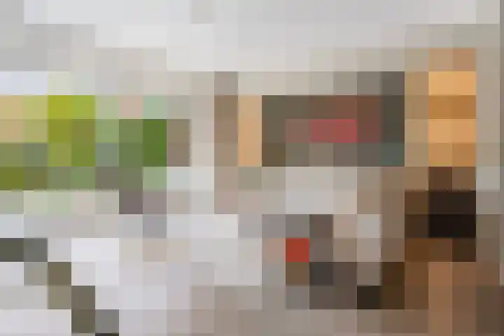 Fruitweidestraat 24 Zwolle thumbnail 14