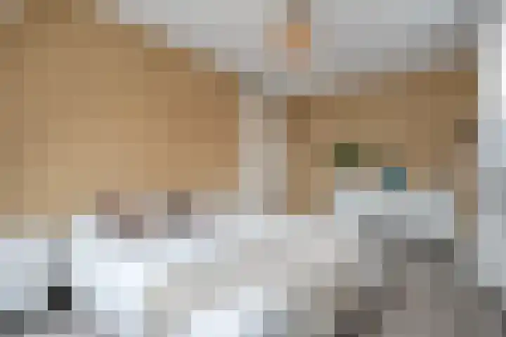 Fruitweidestraat 24 Zwolle thumbnail 30