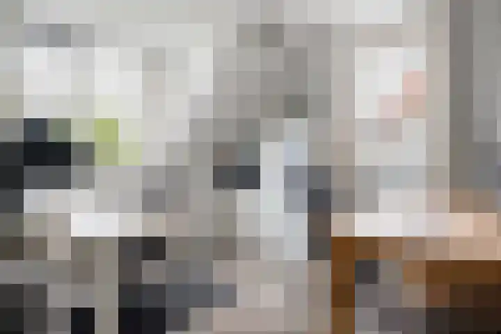 Fruitweidestraat 24 Zwolle thumbnail 31