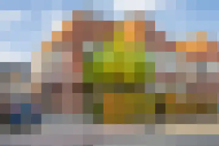Fruitweidestraat 24 Zwolle thumbnail 4