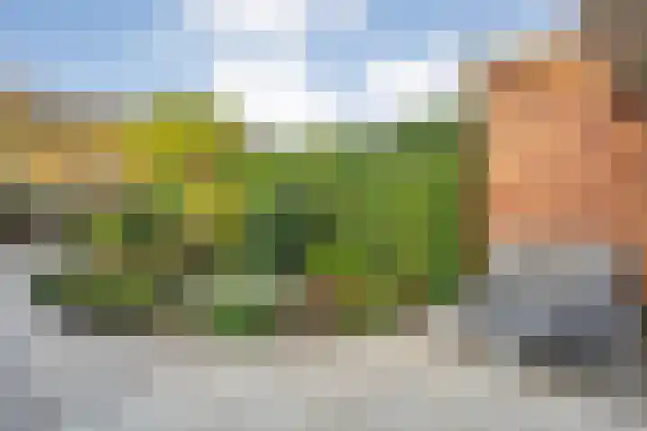 Fruitweidestraat 24 Zwolle thumbnail 46