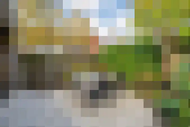 Fruitweidestraat 24 Zwolle thumbnail 48