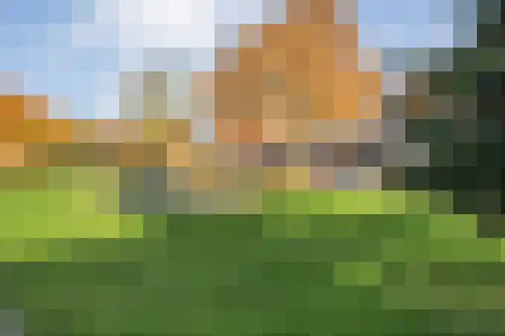 Fruitweidestraat 24 Zwolle thumbnail 54