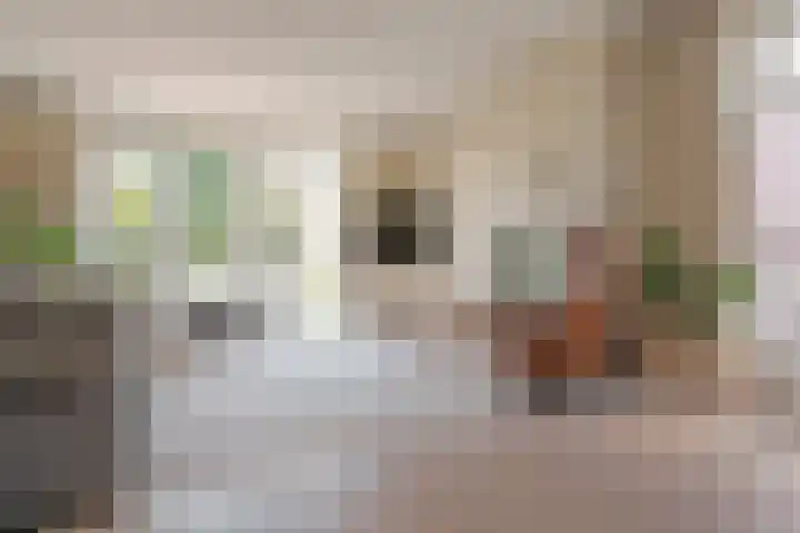 Fruitweidestraat 26 Zwolle thumbnail 16