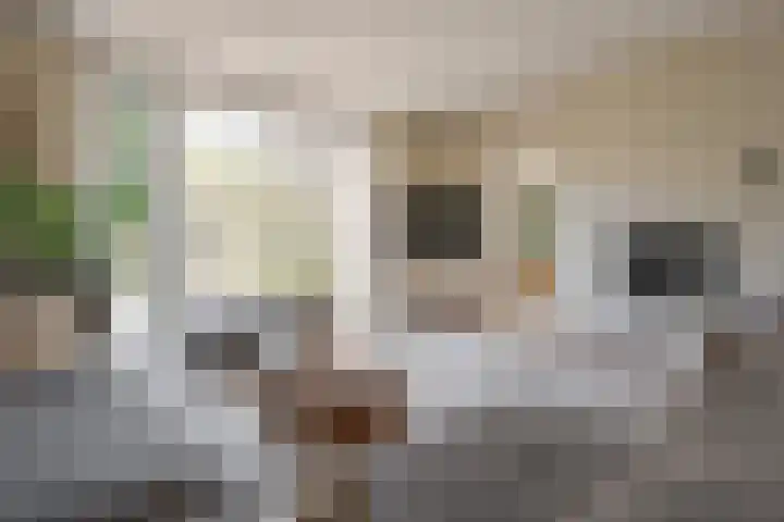 Fruitweidestraat 26 Zwolle thumbnail 17