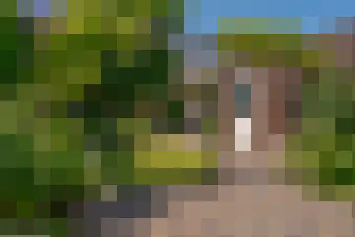 Fruitweidestraat 26 Zwolle thumbnail 49