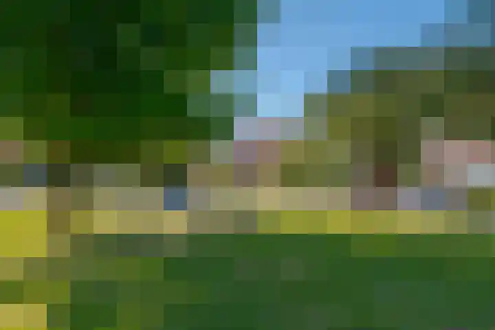 Fruitweidestraat 26 Zwolle thumbnail 5