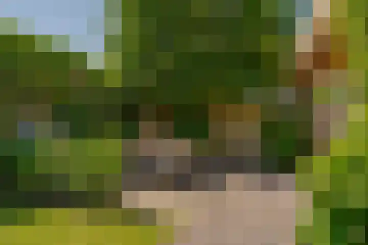 Fruitweidestraat 26 Zwolle thumbnail 51