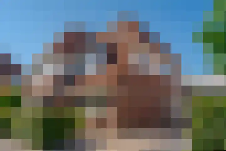 Fruitweidestraat 26 Zwolle thumbnail 6