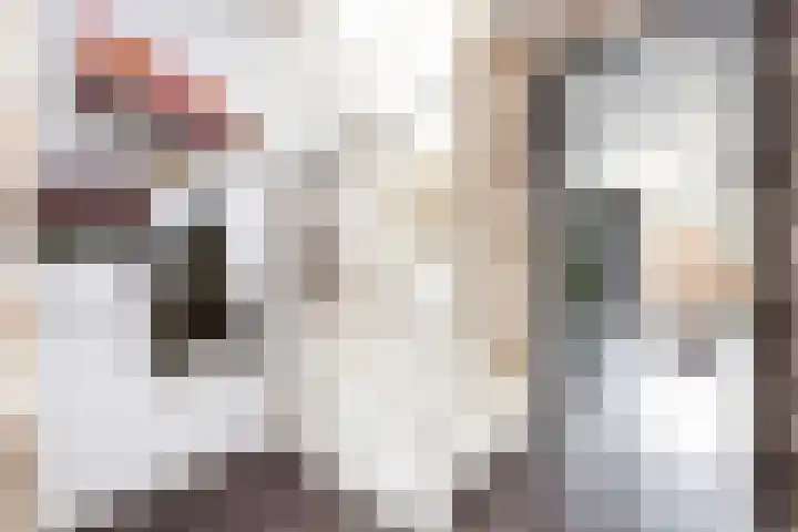 Fruitweidestraat 27 Zwolle thumbnail 10