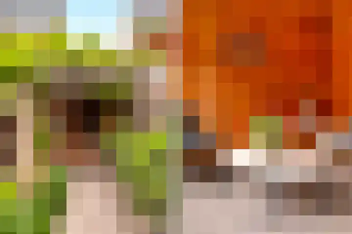 Fruitweidestraat 27 Zwolle thumbnail 26