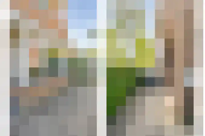 Fruitweidestraat 30 Zwolle thumbnail 33