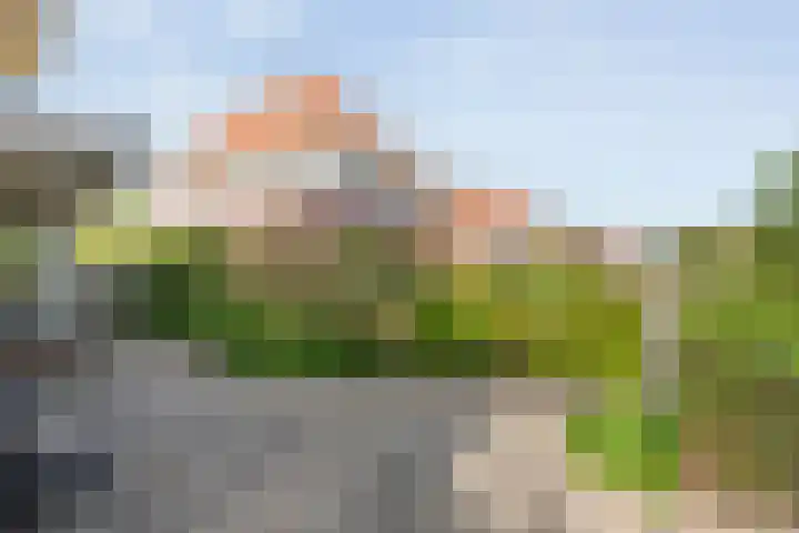 Fruitweidestraat 30 Zwolle thumbnail 34