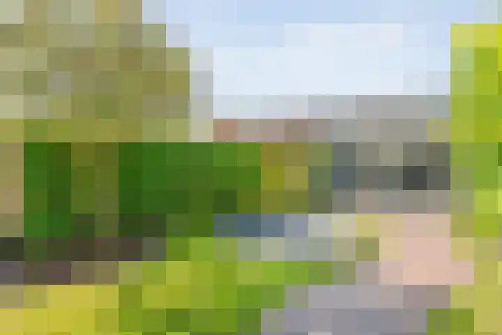 Fruitweidestraat 30 Zwolle thumbnail 35