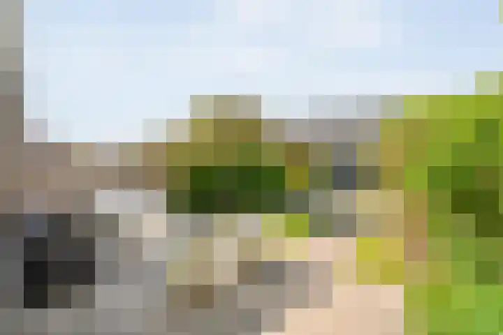 Fruitweidestraat 30 Zwolle thumbnail 36