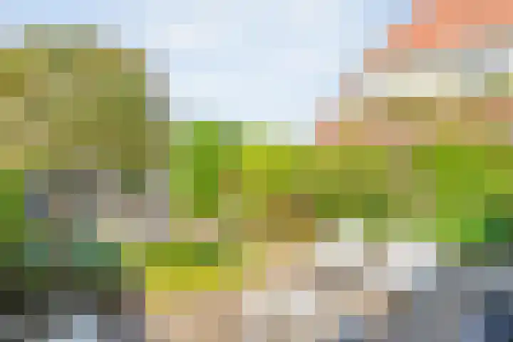 Fruitweidestraat 30 Zwolle thumbnail 37