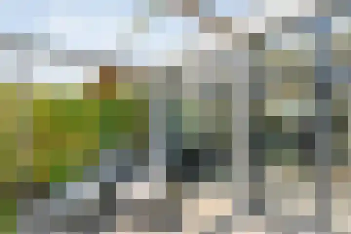 Fruitweidestraat 30 Zwolle thumbnail 39
