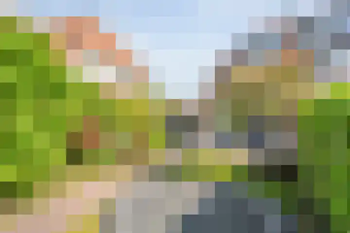 Fruitweidestraat 30 Zwolle thumbnail 47