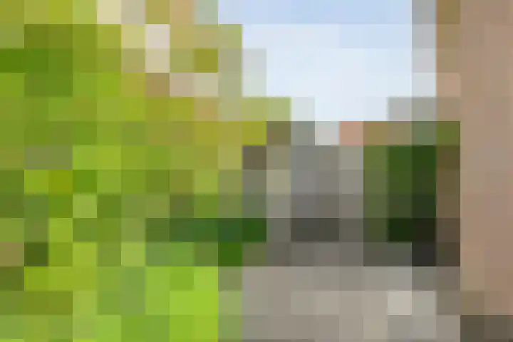 Fruitweidestraat 30 Zwolle thumbnail 49