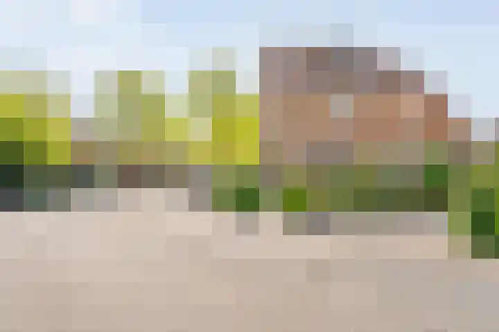 Fruitweidestraat 30 Zwolle thumbnail 55
