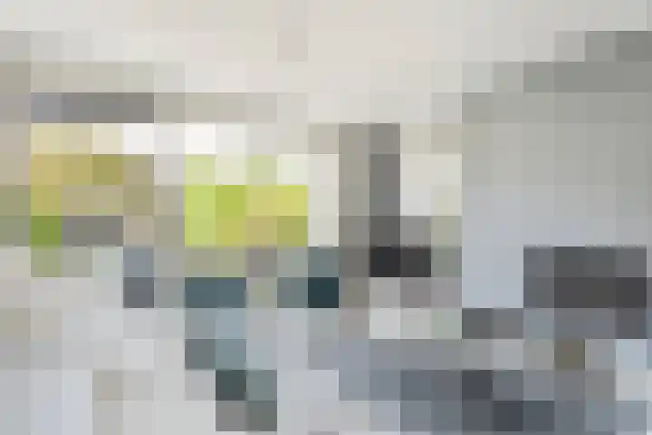 Fruitweidestraat 30 Zwolle thumbnail 6