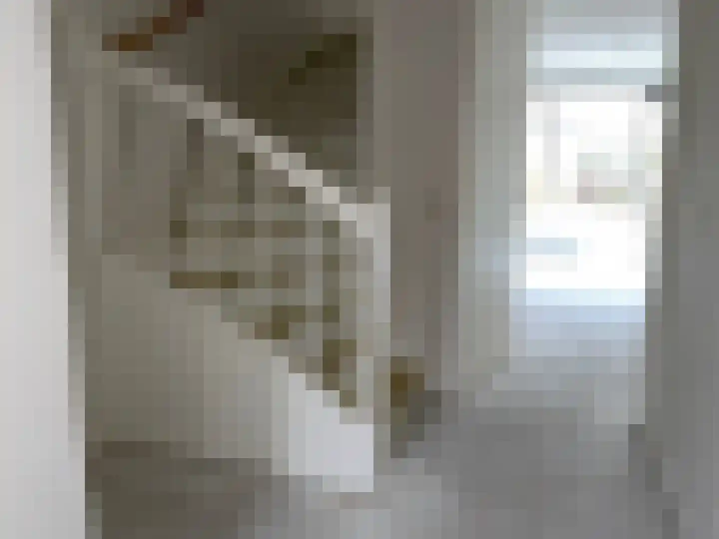 Fruitweidestraat 31 Zwolle thumbnail 6