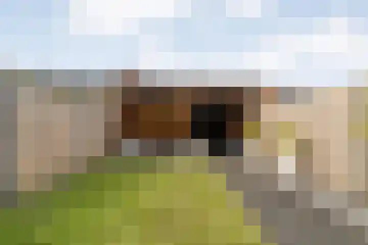 Fruitweidestraat 38 Zwolle thumbnail 34