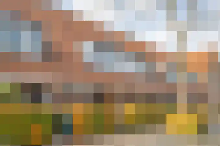 Fruitweidestraat 38 Zwolle thumbnail 5