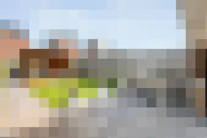 Fruitweidestraat 45 Zwolle thumbnail 31